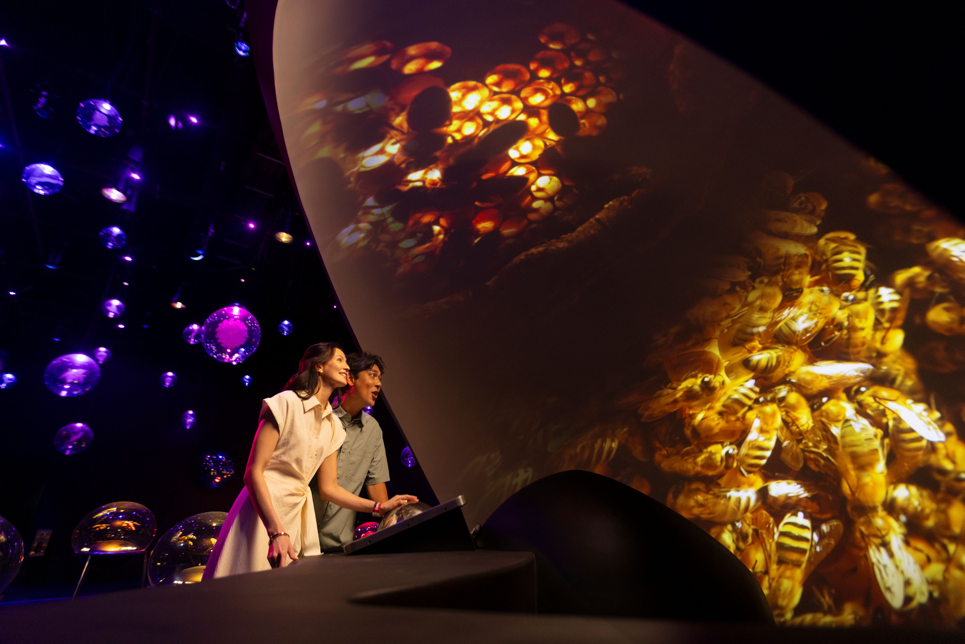 MRR_MWG_Exploria_Microworld Projection